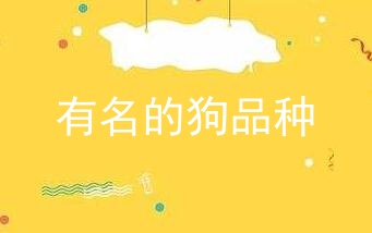 有名的狗品种