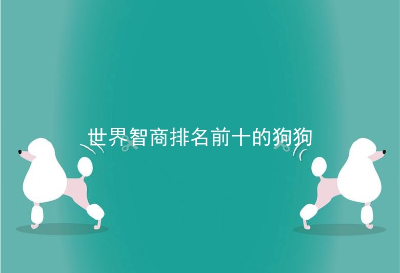 世界智商排名前十的狗狗