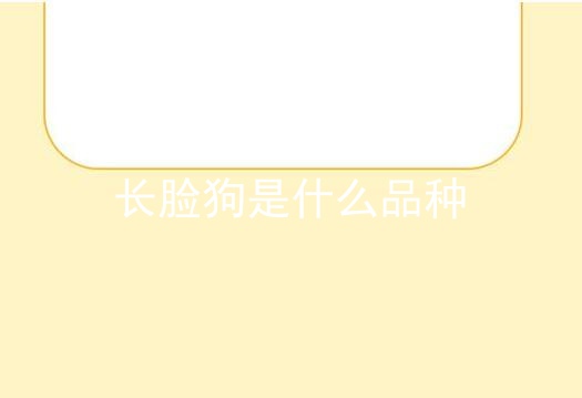 长脸狗是什么品种