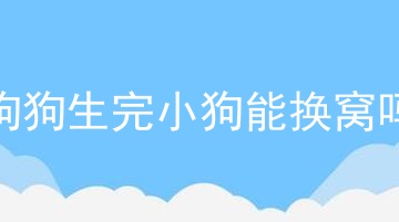 狗狗生完小狗能换窝吗