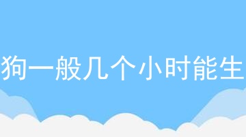 狗狗一般几个小时能生完