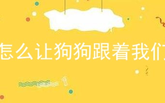 怎么让狗狗跟着我们