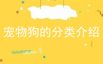 宠物狗的分类介绍