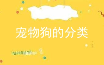 宠物狗的分类