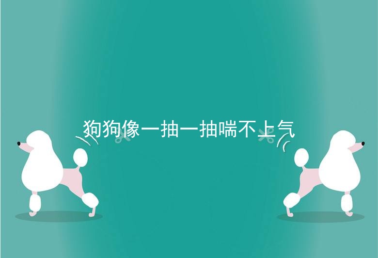 狗狗像一抽一抽喘不上气