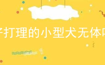 好打理的小型犬无体味