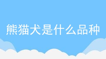 熊猫犬是什么品种