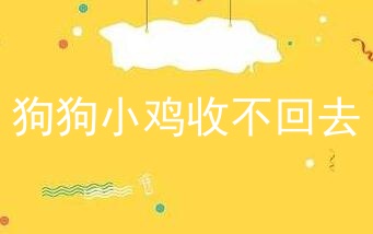 狗狗小鸡收不回去