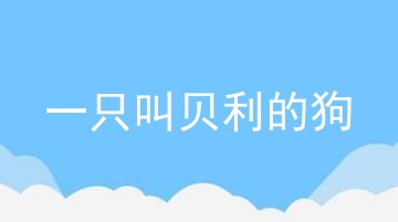 一只叫贝利的狗