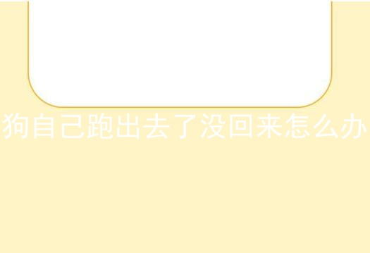 狗自己跑出去了没回来怎么办