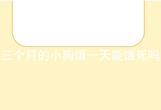 三个月的小狗饿一天能饿死吗