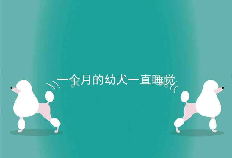 一个月的幼犬一直睡觉