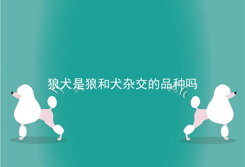 狼犬是狼和犬杂交的品种吗