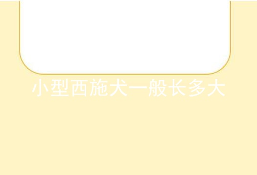 小型西施犬一般长多大