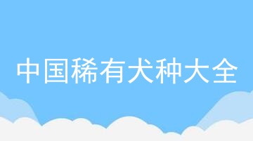 中国稀有犬种大全