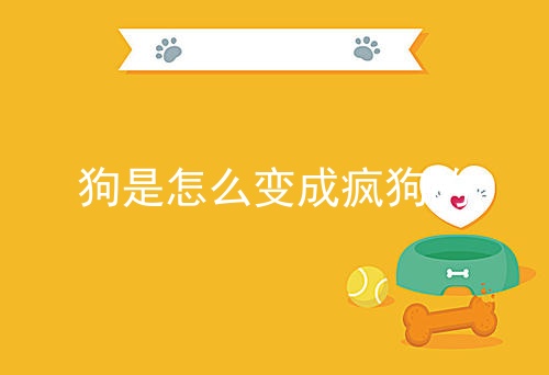 狗是怎么变成疯狗的