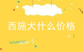 西施犬什么价格