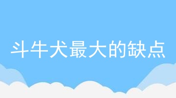 斗牛犬最大的缺点