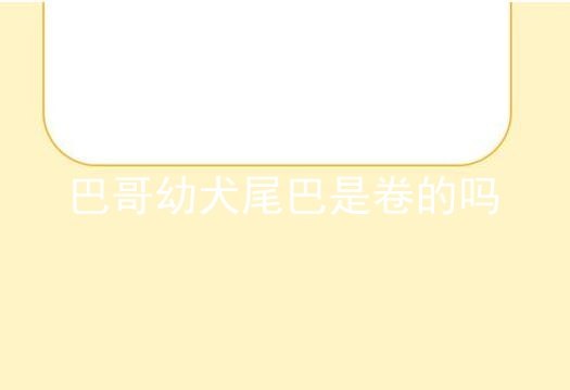 巴哥幼犬尾巴是卷的吗