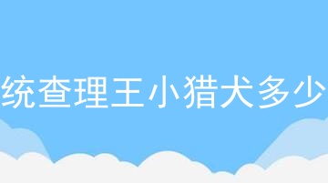 血统查理王小猎犬多少钱
