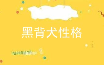 黑背犬性格