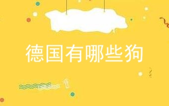 德国有哪些狗