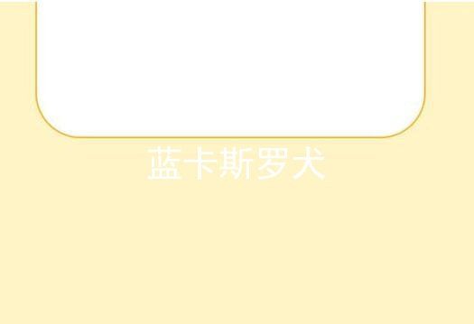 蓝卡斯罗犬