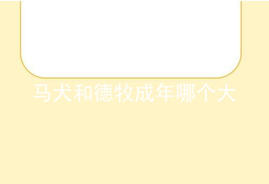 马犬和德牧成年哪个大