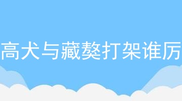 坎高犬与藏獒打架谁厉害