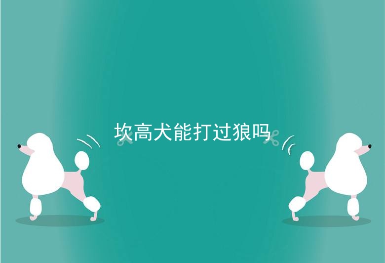 坎高犬能打过狼吗