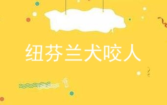 纽芬兰犬咬人