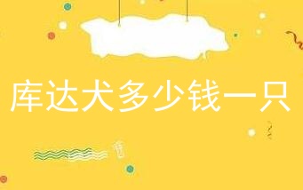 库达犬多少钱一只