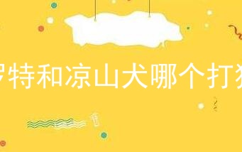普罗特和凉山犬哪个打猎好
