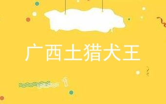 广西土猎犬王