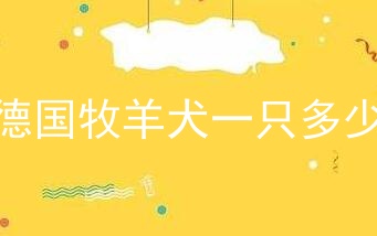 小德国牧羊犬一只多少元