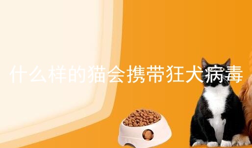 什么样的猫会携带狂犬病毒