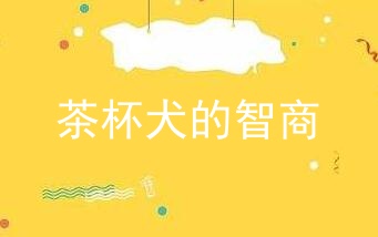 茶杯犬的智商