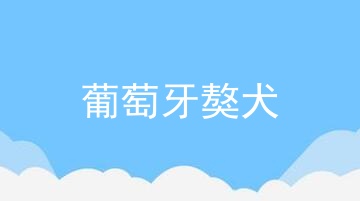 葡萄牙獒犬