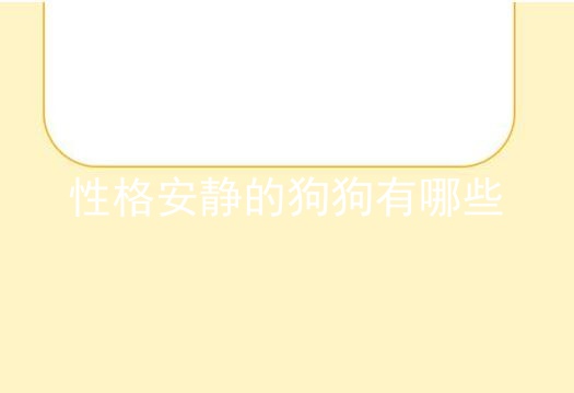 性格安静的狗狗有哪些