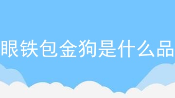 四眼铁包金狗是什么品种