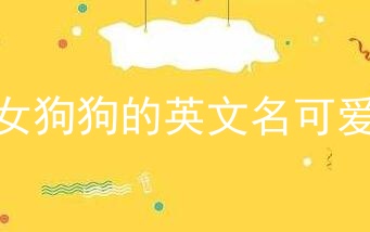 女狗狗的英文名可爱