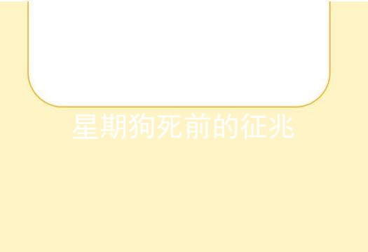 星期狗死前的征兆