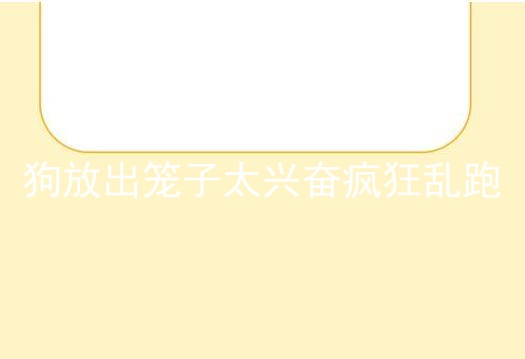狗放出笼子太兴奋疯狂乱跑