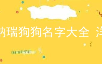 雪纳瑞狗狗名字大全洋气
