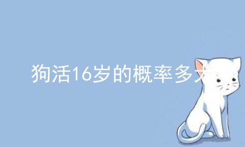狗活16岁的概率多大