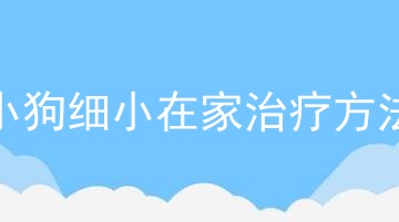 小狗细小在家治疗方法