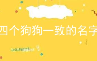 四个狗狗一致的名字