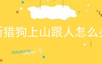 新猎狗上山跟人怎么办