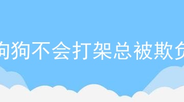 狗狗不会打架总被欺负