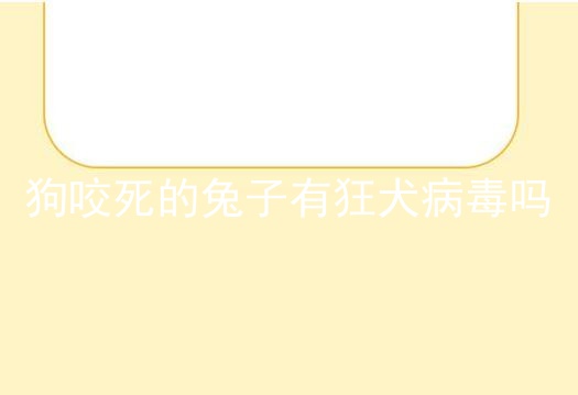 狗咬死的兔子有狂犬病毒吗